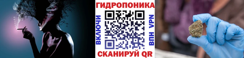 Каннабис THC 21%  Купить закладки  Приозерск 